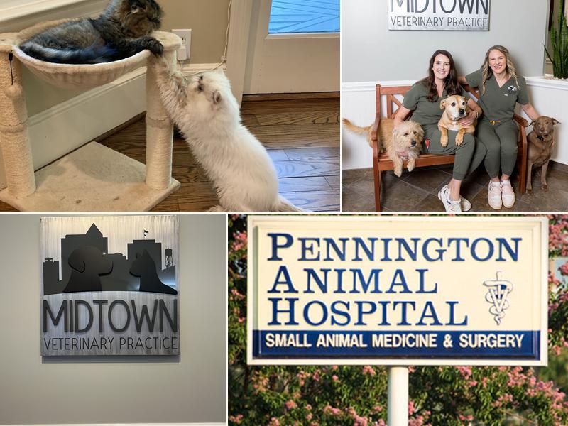 Midtown Veterinary Practice (formerly Pennington Animal Hospital)