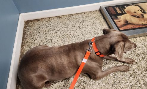 Walden Pond Animal Hospital 17524 US-431, Headland Alabama 36345