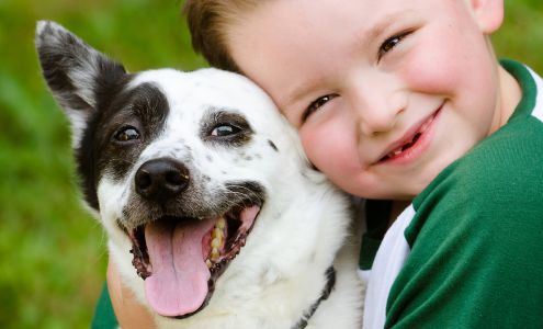 Meadow Brook Animal Clinic