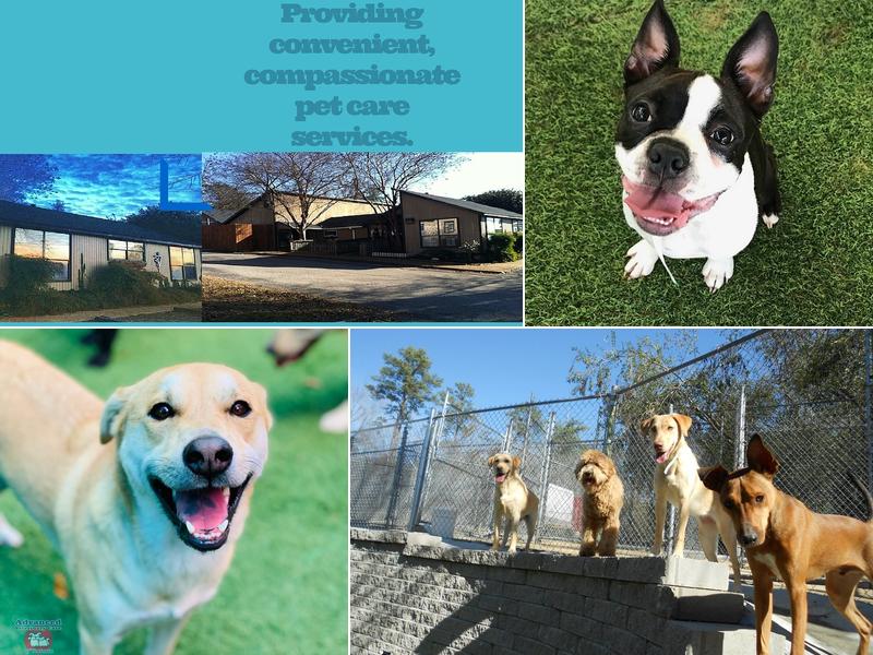 Advanced Veterinary Care of Vestavia