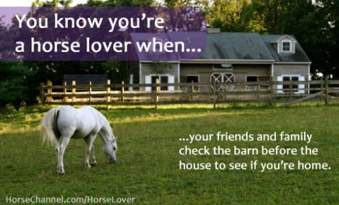 Arens Brenda DVM Dyersville