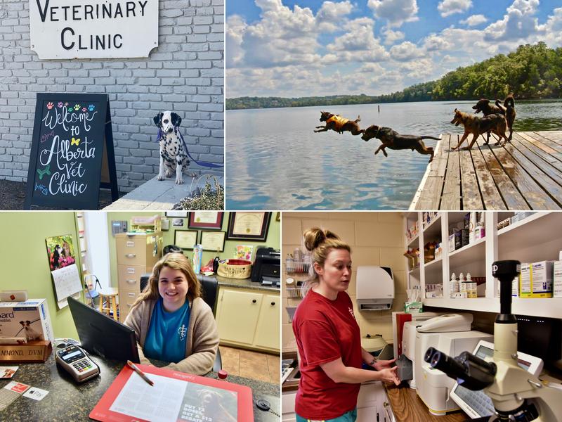 Alberta Veterinary Clinic