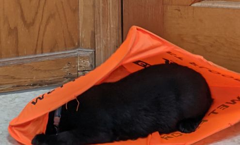 Aero City Animal Hospital