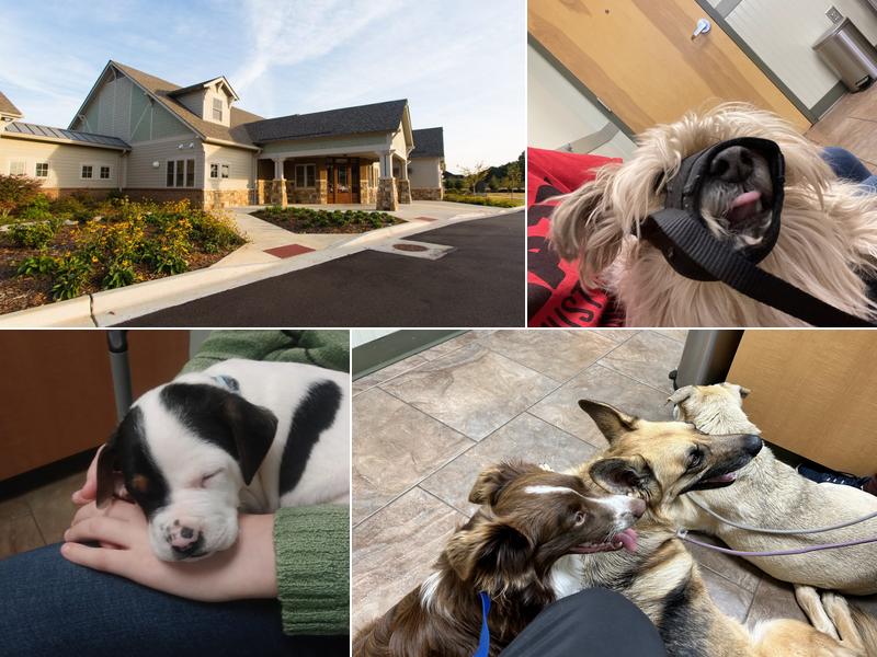 Flint River Animal Hospital