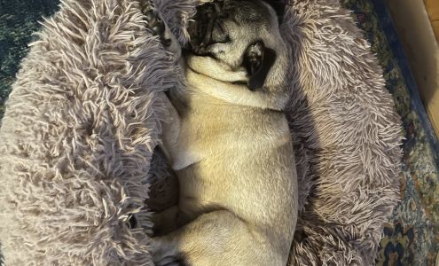 Owens Cross Roads Animal Clinic