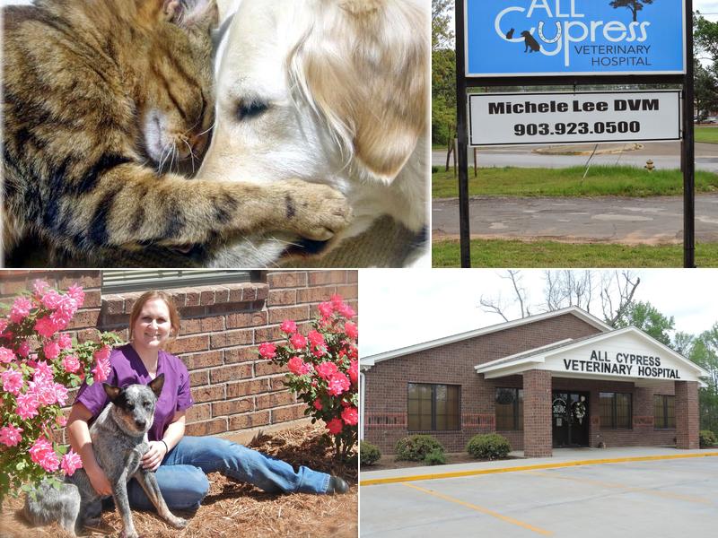 All Cypress Veterinary Hospital