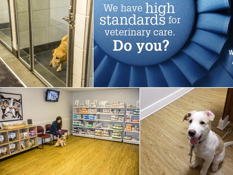 Rehm Animal Clinic at Tillmans Corner