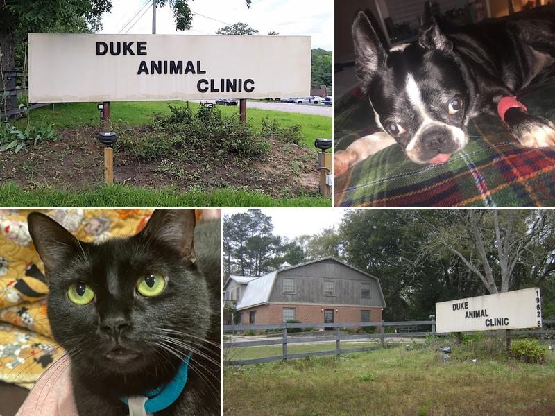 Duke Animal Clinic
