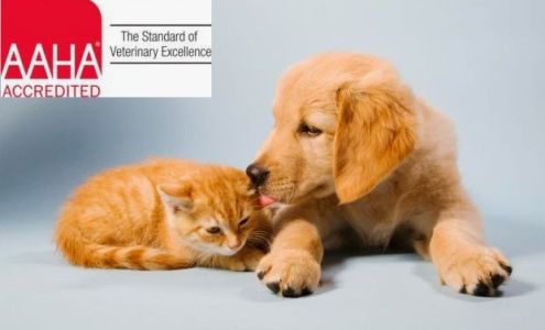 The Animal Clinic, P.C.