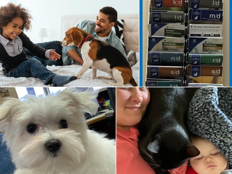 Vaughn Road Veterinary Clinic: Van Hooser Bill DVM