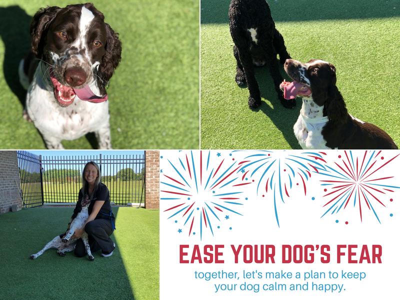 Steven M. Sirmon , DVM