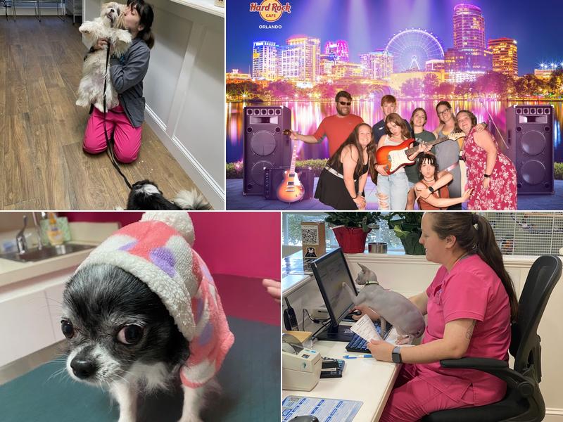 Mitchell Veterinary Hospital