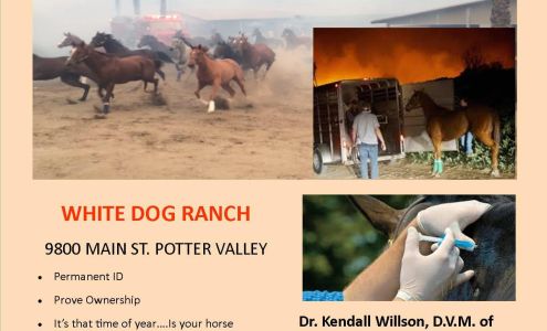 Redwood Valley Equine Redwood Valley