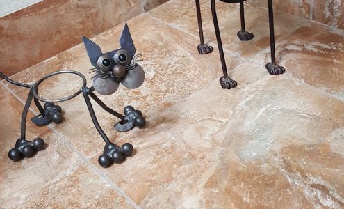 Desert Hills Pet Clinic