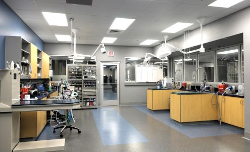 Veterinary Specialty Center Tucson