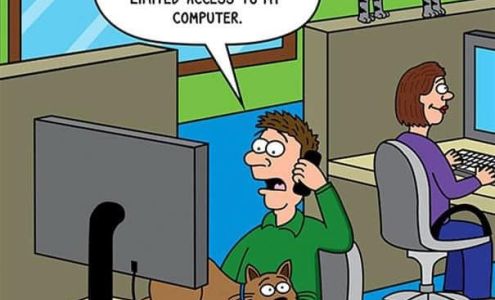 Sunrise Pet Clinic: Vasilopulos R DVM