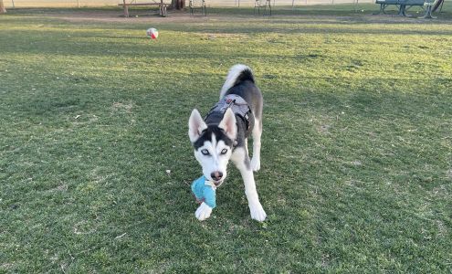 Coolidge Veterinary Hospital Coolidge