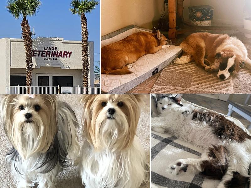 Lange Veterinary Center