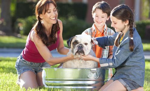 Glendale Animal Hospital