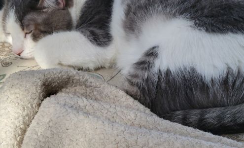 Northern Door Pet Clinic 10393 Northwoods Dr, Sister Bay Wisconsin 54234