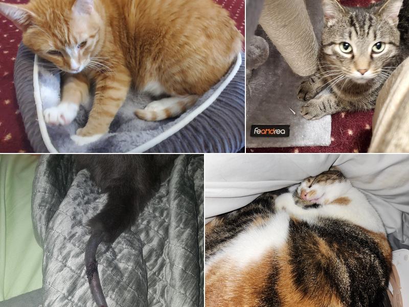 Silver Creek Veterinary Clinic