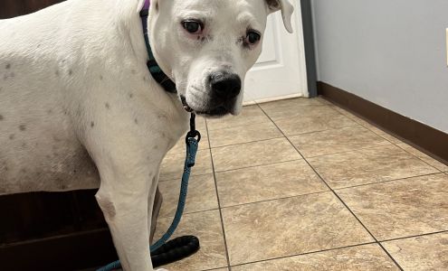 St. Clair Veterinary Clinic