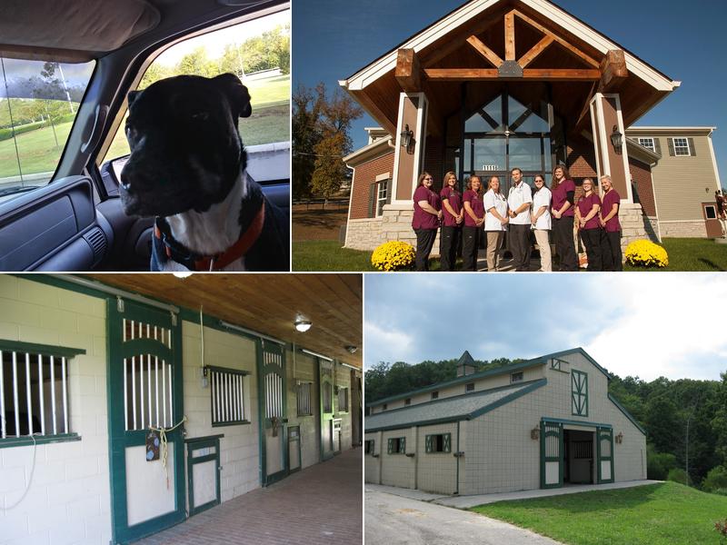 Bannon Woods Veterinary Clinic: Adrienne Robertson DVM