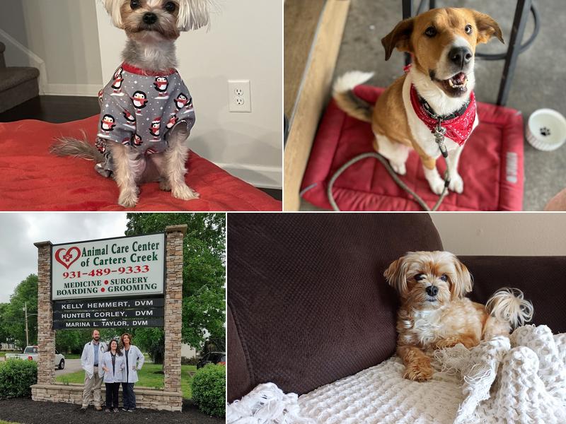 Animal Care Center of Carters Creek