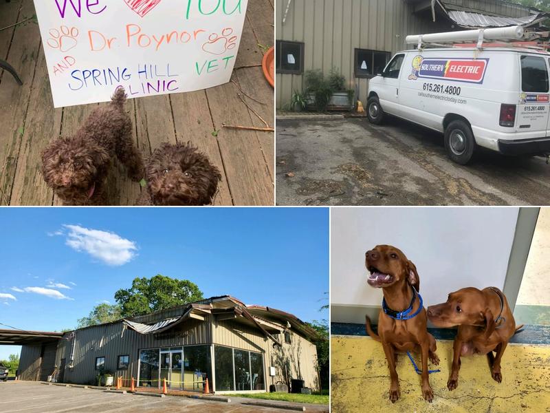 Spring Hill Veterinary Clinic