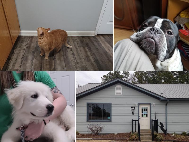 Hickman Veterinary Hospital, Inc.