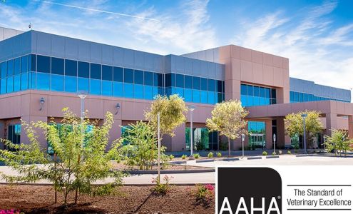 Midwestern University Companion Animal Clinic