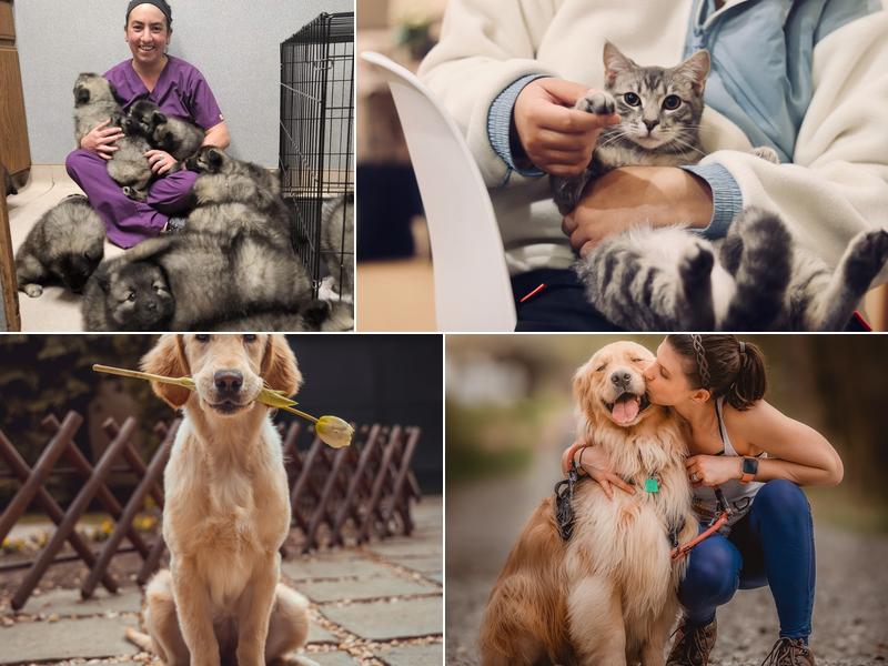 Animal Hospital of Putnam: Kasprzycki Amy DVM