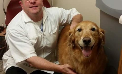 Shively Animal Clinic & Hospital