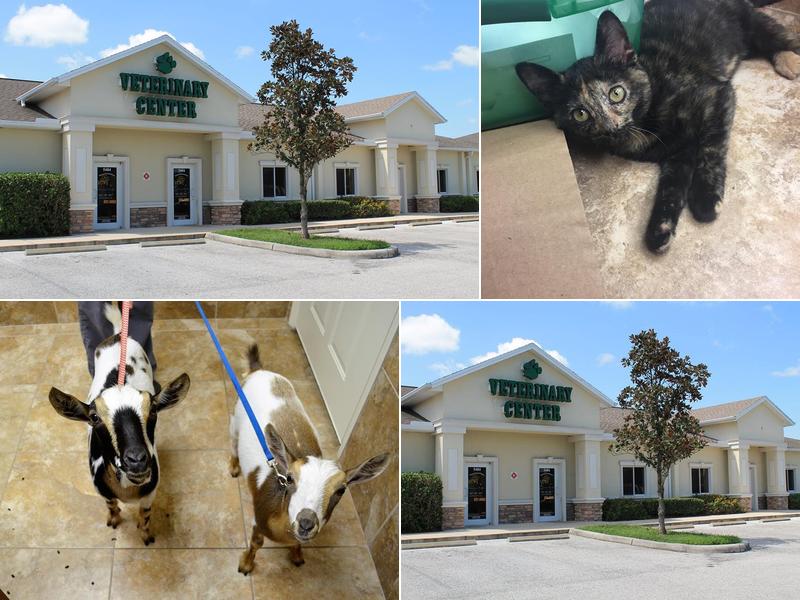 Veterinary Center at Fishhawk