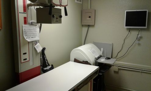 Davis Island Animal Clinic