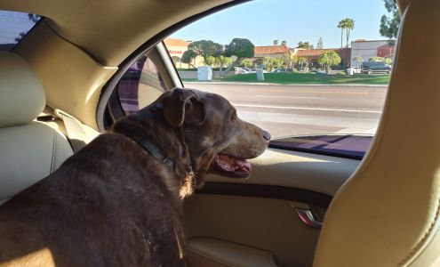 Saguaro Veterinary Clinic