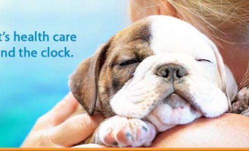 1st Pet Veterinary Centers - Chandler Chandler