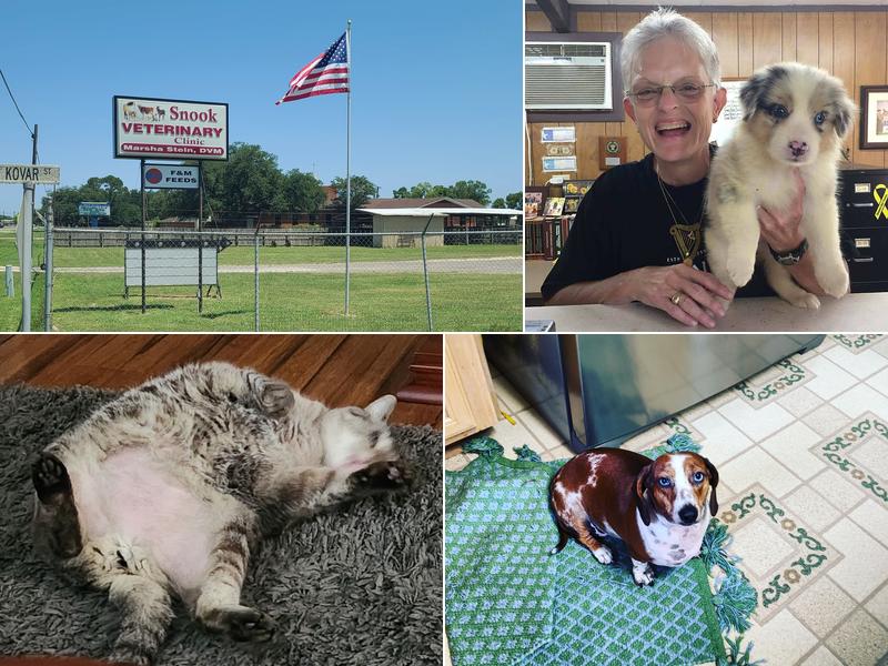 Snook Veterinary Clinic