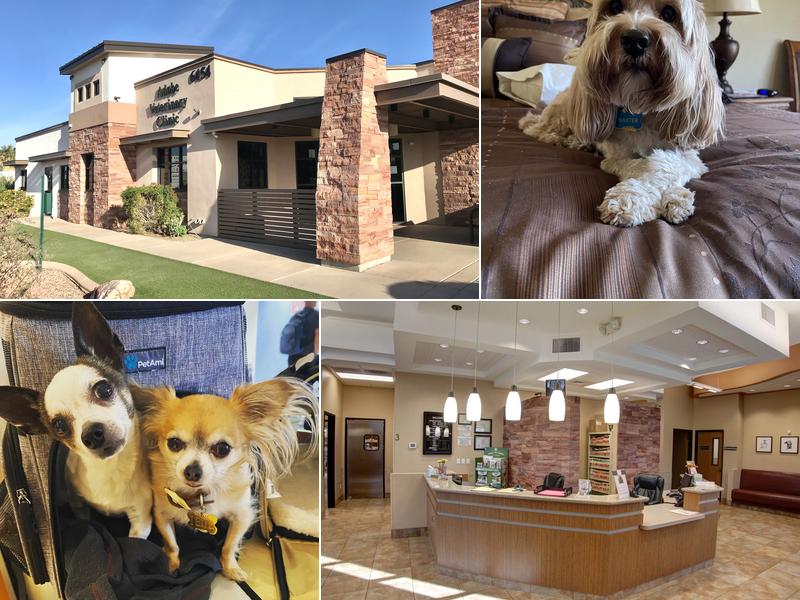 Adobe Veterinary Clinic