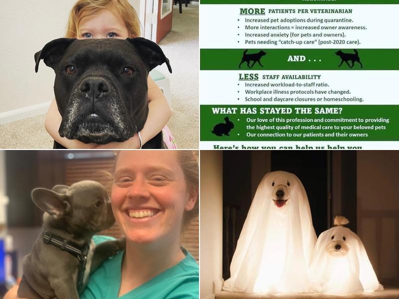 Sheryl DVM-Crosswinds Animal Clinic