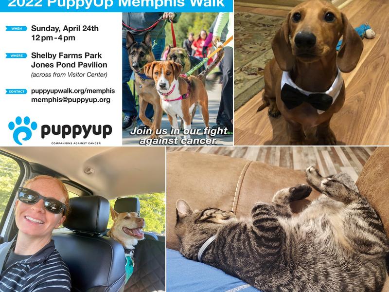 Germantown Parkway Animal Hospital: Widdop William W DVM