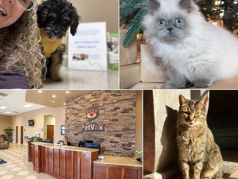 PetVax Complete Care Centers Germantown