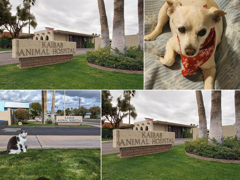 Kaibab Animal Hospital
