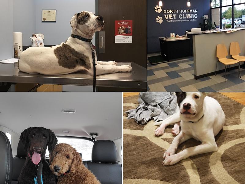 North Hoffman Veterinary Clinic