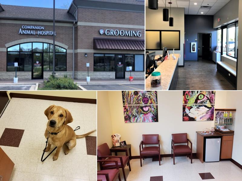 Companion Vernon Hills