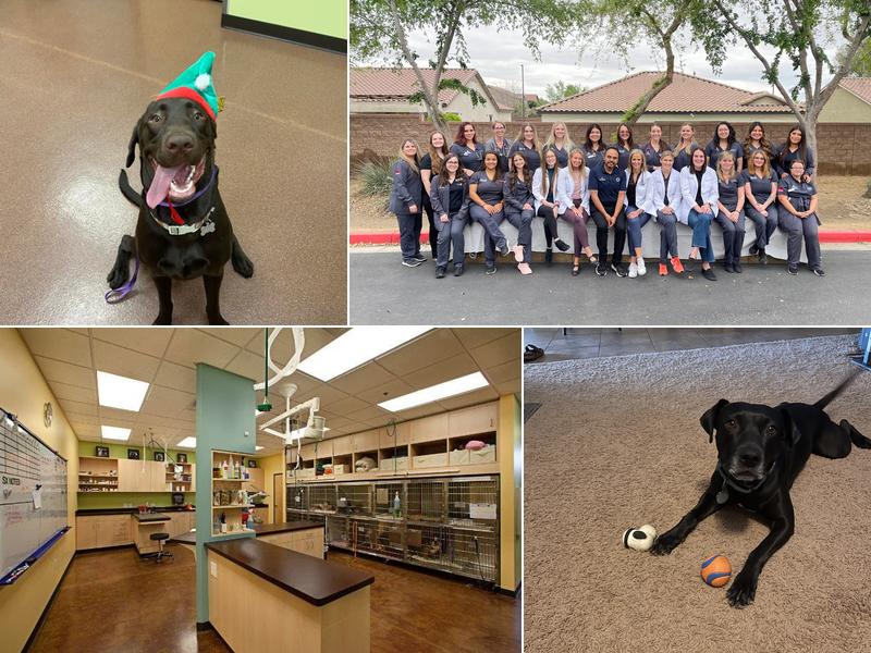 Seville Veterinary Hospital