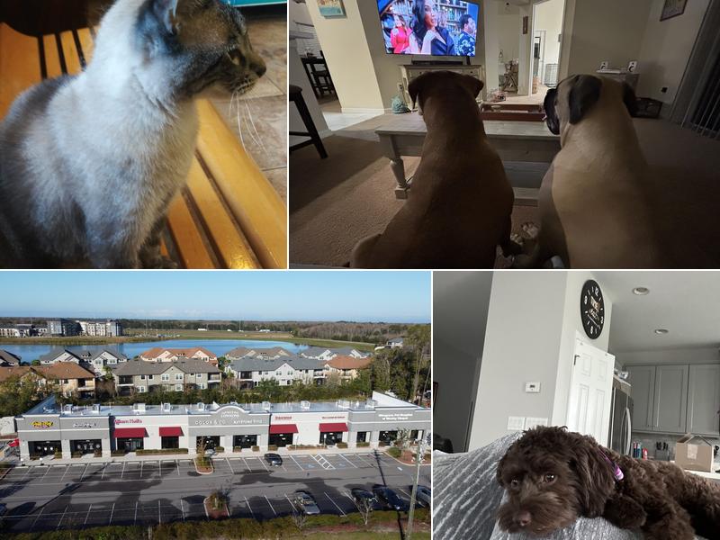 Wesley Chapel Veterinary Clinic