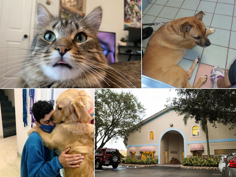 All Creatures Animal Hospital