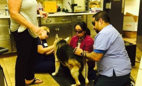 Addison Animal Hospital LTD