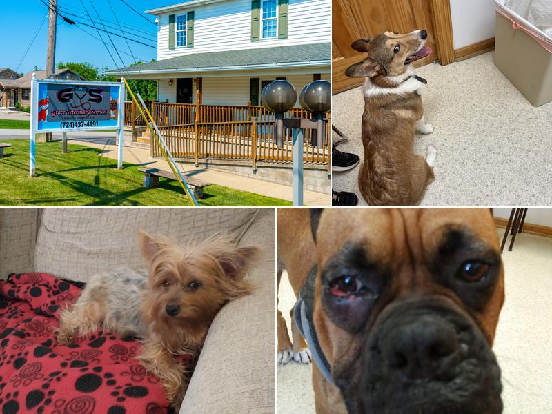 Grace Veterinary Services